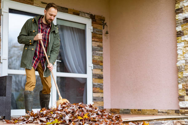 Best Construction Debris Removal  in Franklin Grove, IL